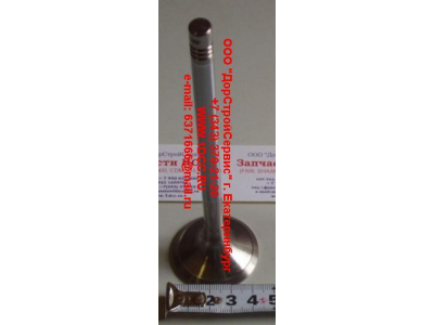 Клапан впускной WP12 SH SHAANXI / Shacman (ШАНКСИ / Шакман) 612630050001 фото 1 Астрахань