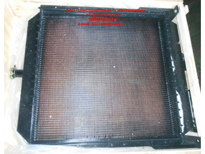 Радиатор охлаждения двигателя CDM 855EK Lonking CDM (СДМ) CDM855EK.01I.04 фото 1 Астрахань