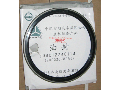 Сальник 190х220х15 задней ступицы наружный H/SH HOWO (ХОВО) WG9112340114 фото 1 Астрахань