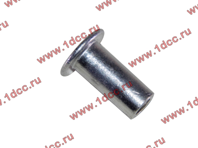 Заклепка алюминиевая 10х24 H2/H3 HOWO (ХОВО) 189000340068 AL фото 1 Астрахань