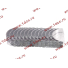 Вкладыши коренные стандарт +0.00 (14шт) LONGGONG CDM833 Lonking CDM (СДМ) 13034908/13034916 фото 2 Астрахань